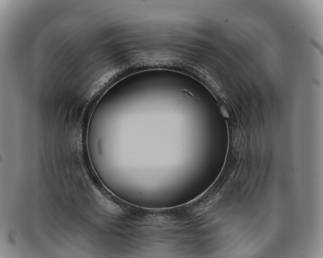 X0000096450629200801311451