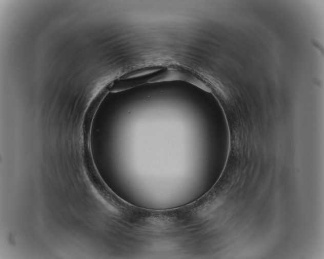 X0000096450630200801311451