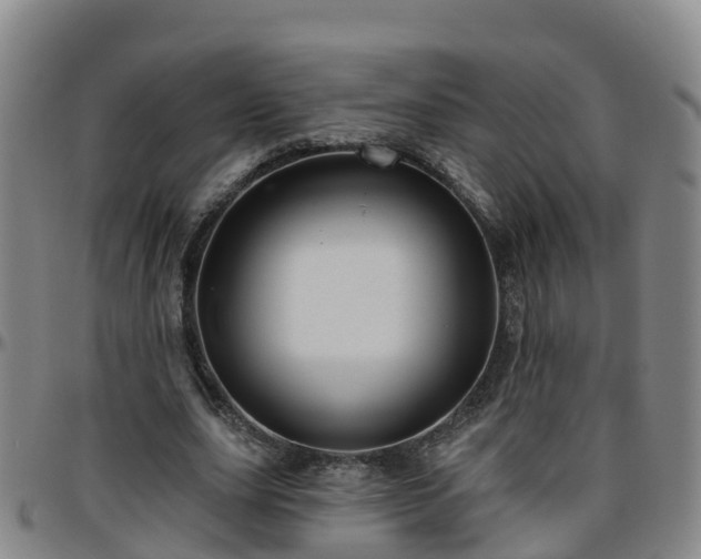 X0000096450631200801311451