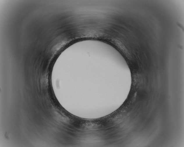 X0000096450632200801311451