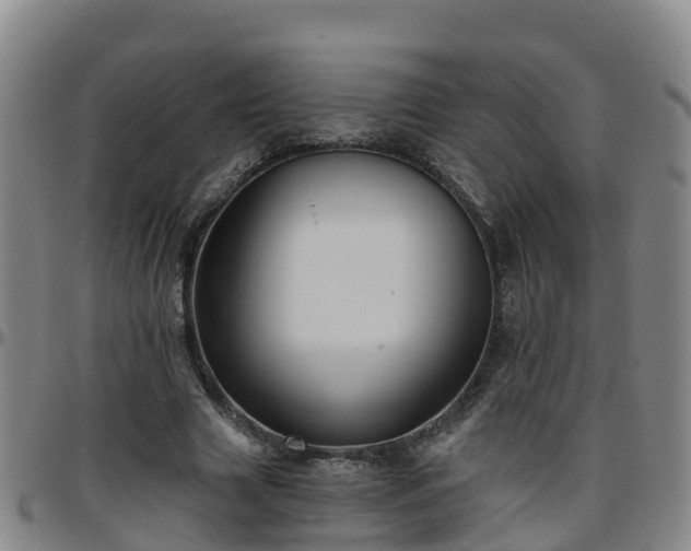 X0000096450633200801311451