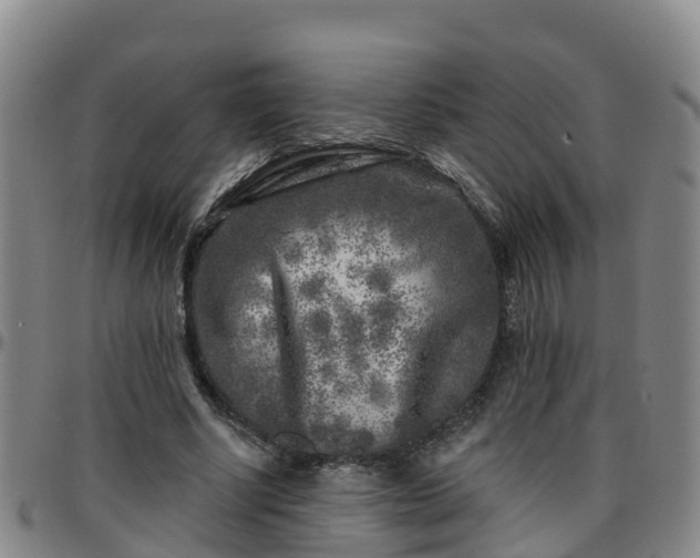 X0000096450634200801311451