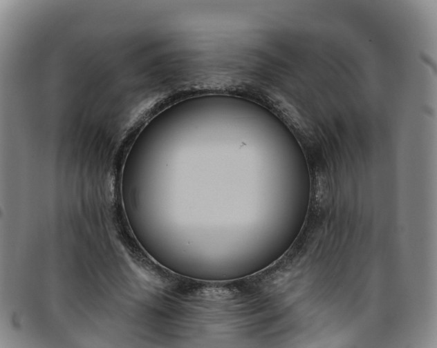 X0000096450636200801311451