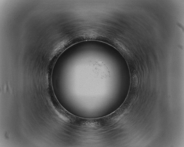 X0000096450638200801311451