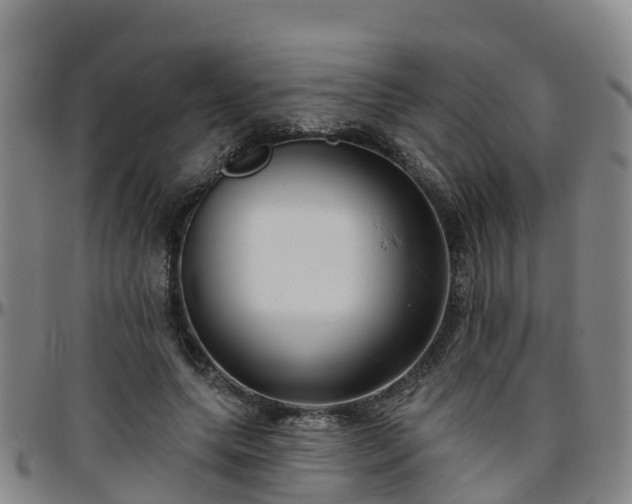 X0000096450639200801311451