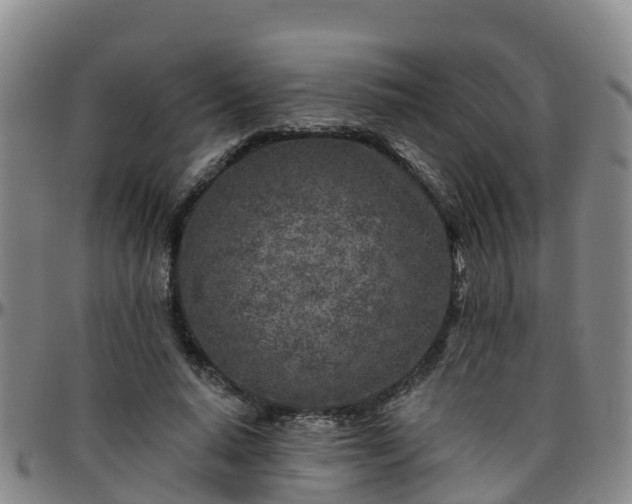 X0000096450640200801311451