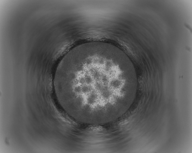 X0000096450642200801311451