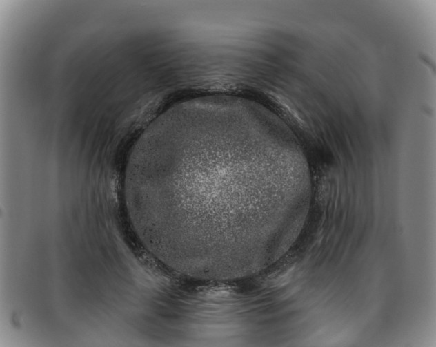 X0000096450643200801311451