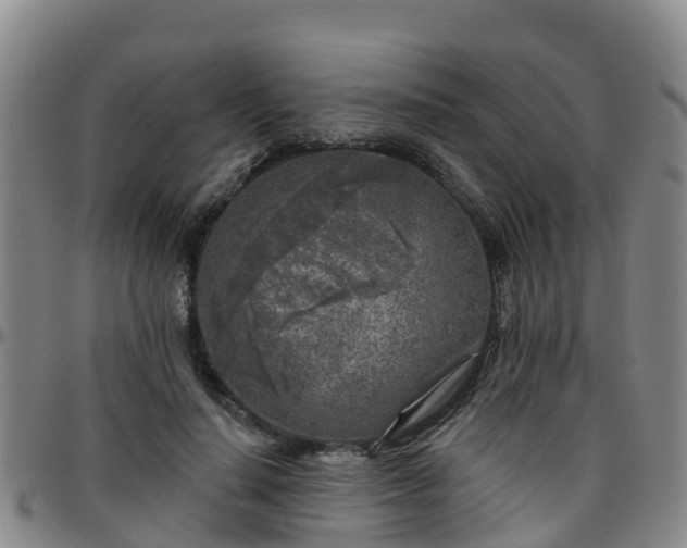 X0000096450644200801311451