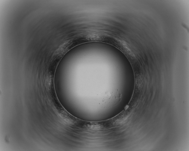 X0000096450645200801311451