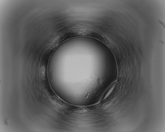 X0000096450646200801311451