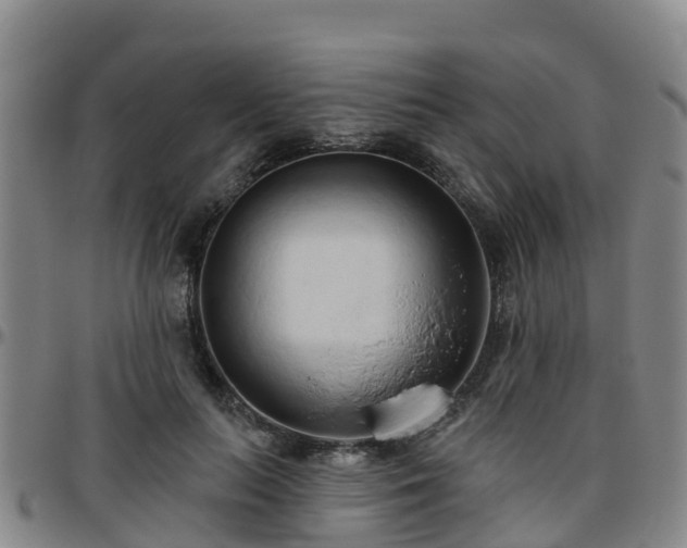 X0000096450647200801311451