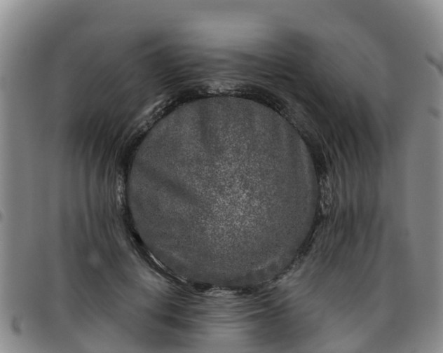 X0000096450648200801311451