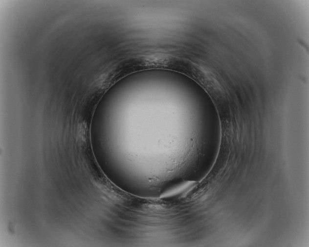 X0000096450649200801311451