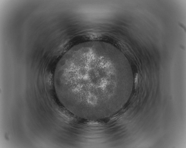 X0000096450650200801311451