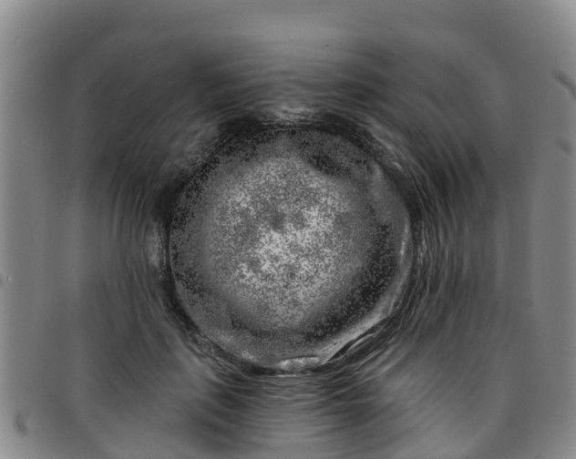 X0000096450651200801311451