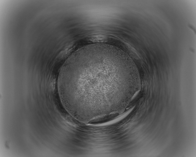 X0000096450652200801311452