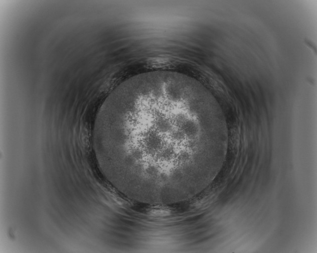 X0000096450653200801311452