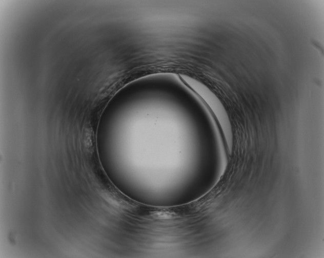 X0000096450654200801311452