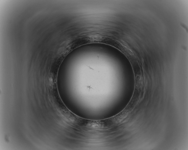 X0000096450655200801311452