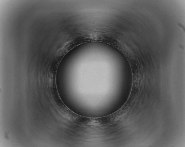 X0000096450656200801311452