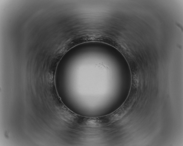 X0000096450657200801311452