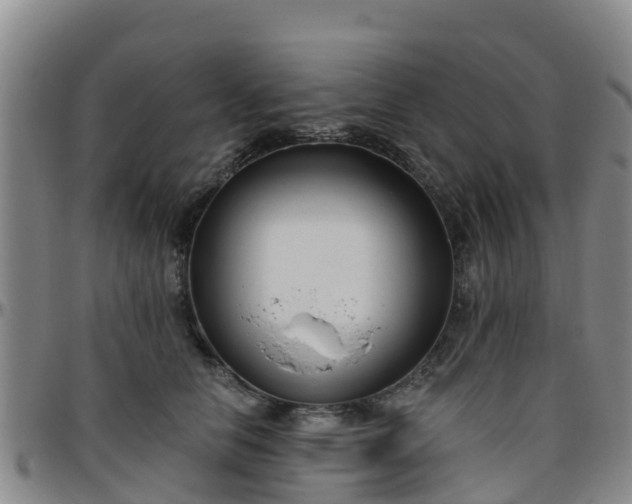 X0000096450658200801311452