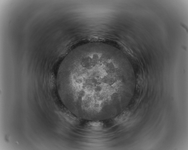 X0000096450659200801311452