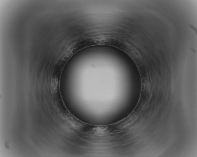 X0000096450660200801311452