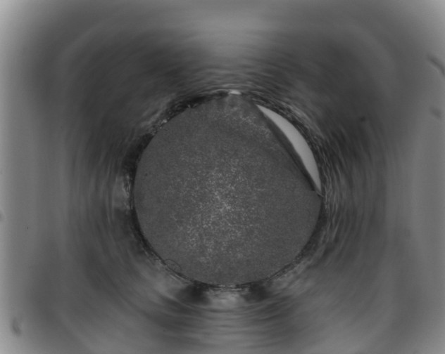 X0000096450661200801311452