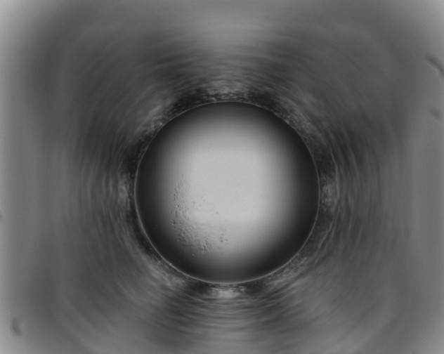 X0000096450662200801311452