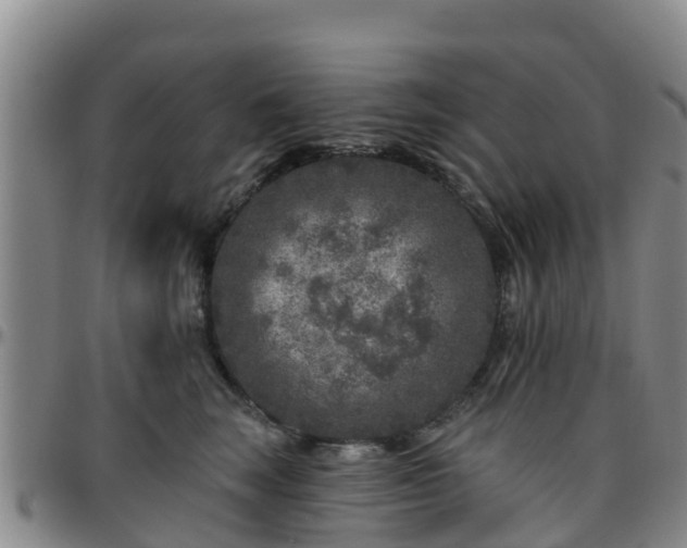 X0000096450663200801311452