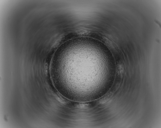 X0000096450664200801311452