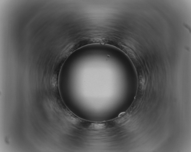 X0000096450665200801311452