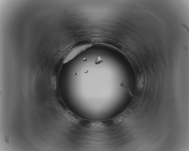 X0000096450666200801311452