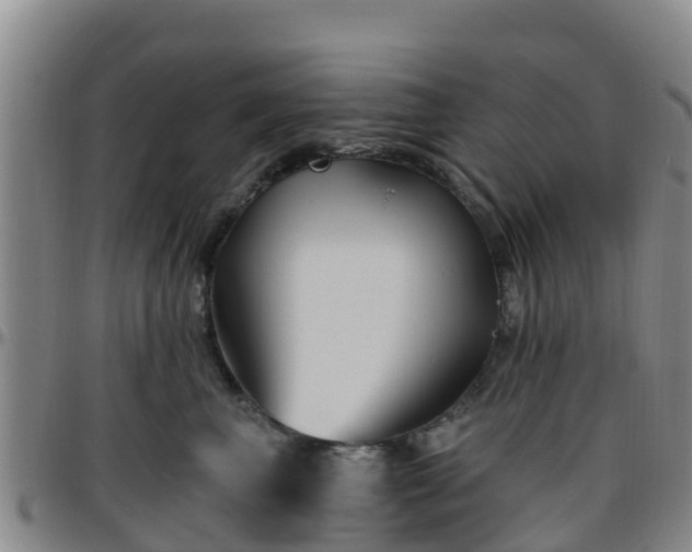 X0000096450667200801311452