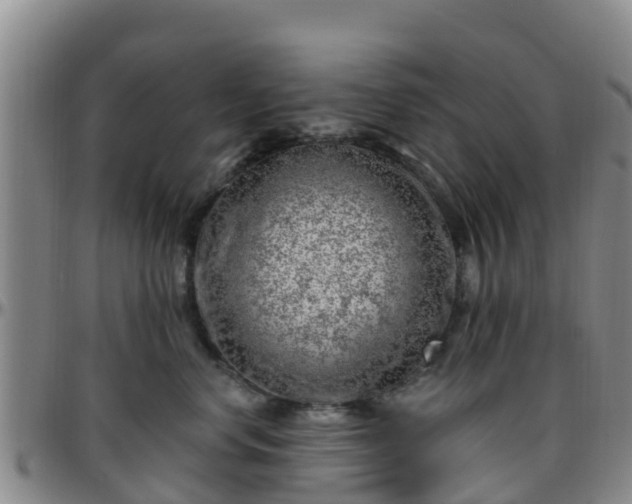 X0000096450668200801311452