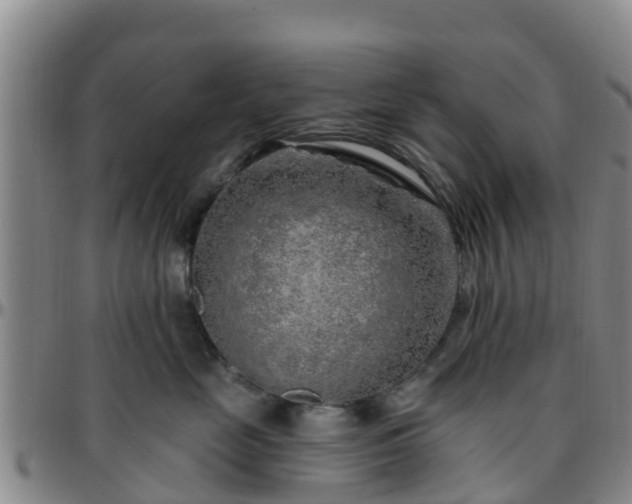 X0000096450669200801311452