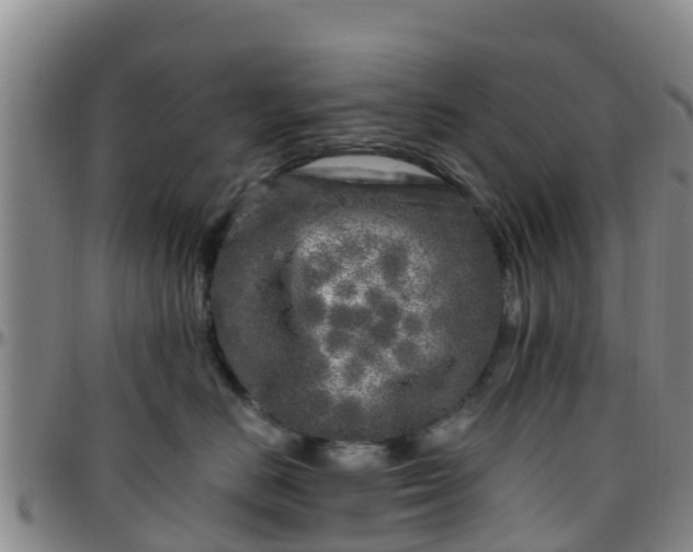 X0000096450670200801311452