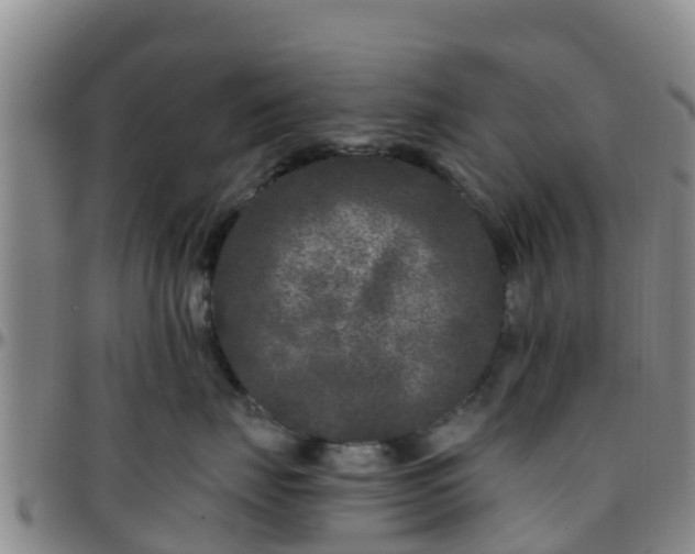 X0000096450671200801311452