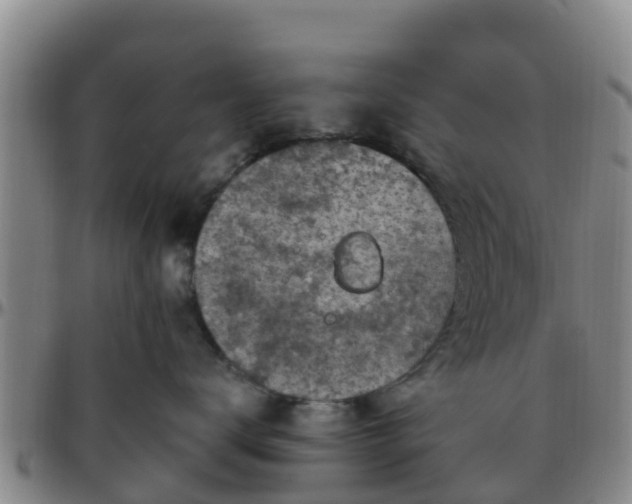 X0000096450672200801311452