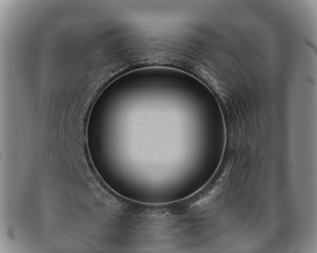 X0000096450673200801311451