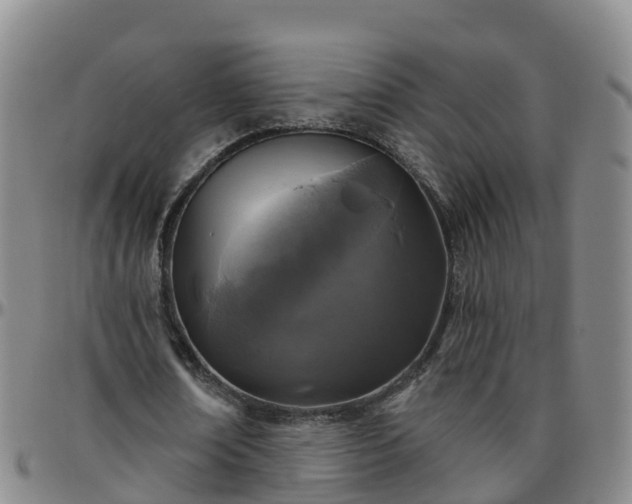 X0000096450674200801311451