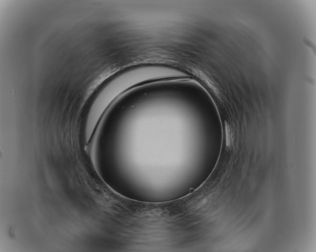 X0000096450675200801311451