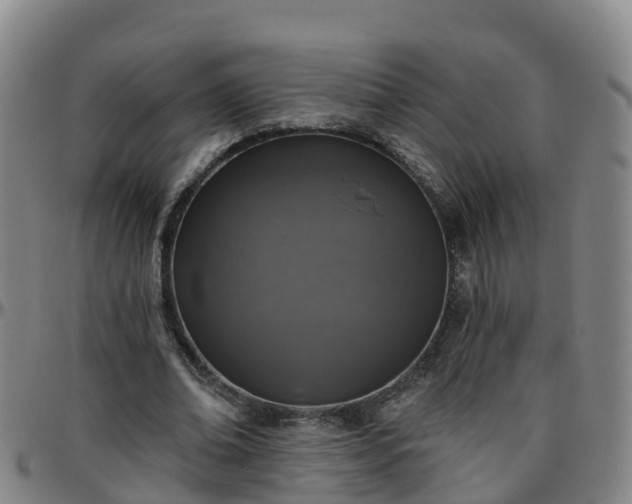 X0000096450678200801311451