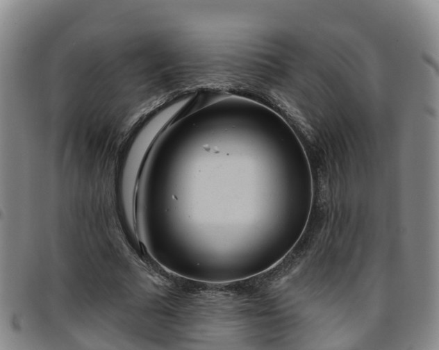 X0000096450681200801311451