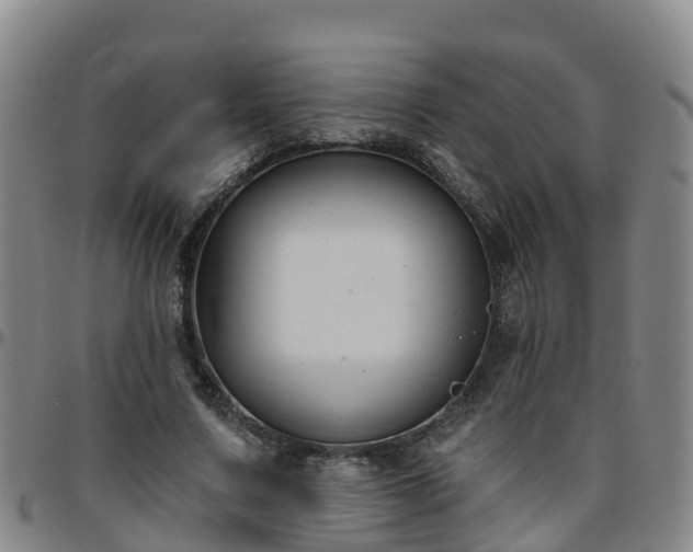 X0000096450683200801311451