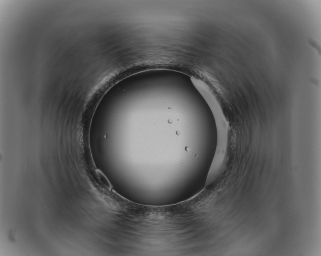 X0000096450684200801311451