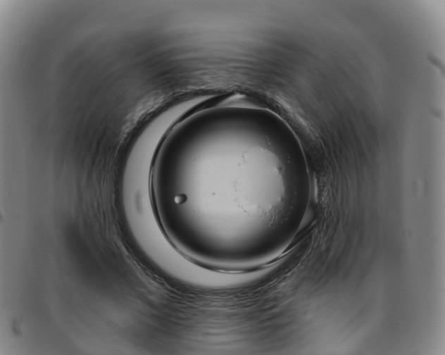 X0000096450685200801311451