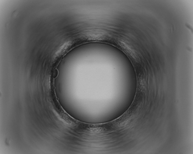 X0000096450686200801311451